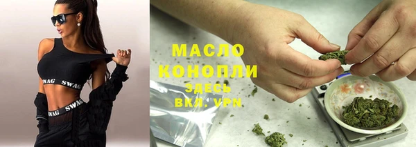 индика Новокубанск