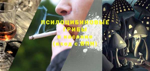 ГАЛЛЮЦИНОГЕННЫЕ ГРИБЫ Алзамай