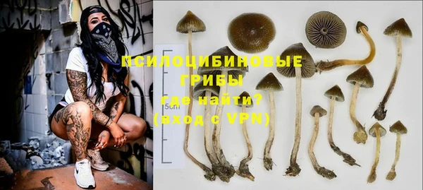 ГАЛЛЮЦИНОГЕННЫЕ ГРИБЫ Алзамай