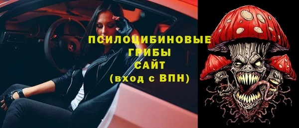 крисы Алексин