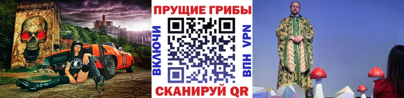 купить наркотики сайты  Тайшет  hydra ССЫЛКА  Псилоцибиновые грибы ЛСД 