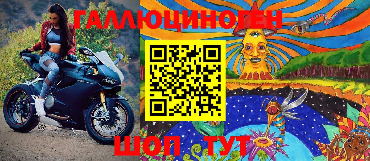 Галлюциногенные грибы Psilocybine cubensis  Вход с VPN  что такое наркотик  Тайшет 