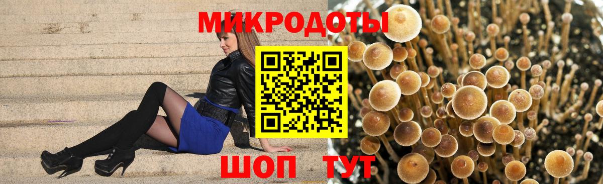 Галлюциногенные грибы Cubensis Тайшет