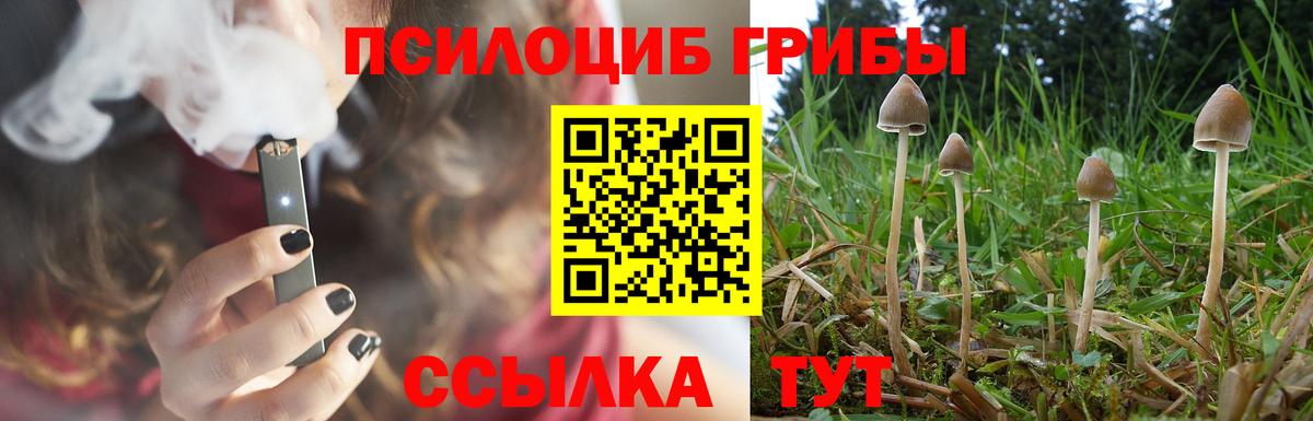 Тайшет  Галлюциногенные грибы Psilocybine cubensis  Вход с VPN  Псилоцибиновые грибы MAGIC MUSHROOMS 